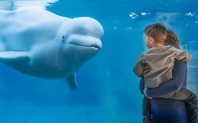 Date Nights (and Days) at the Mystic Aquarium